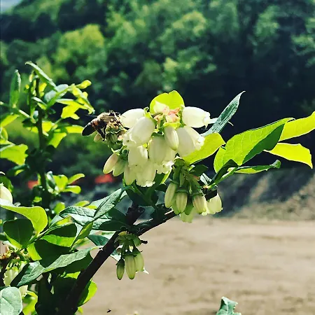 Bed & Breakfast Valtili