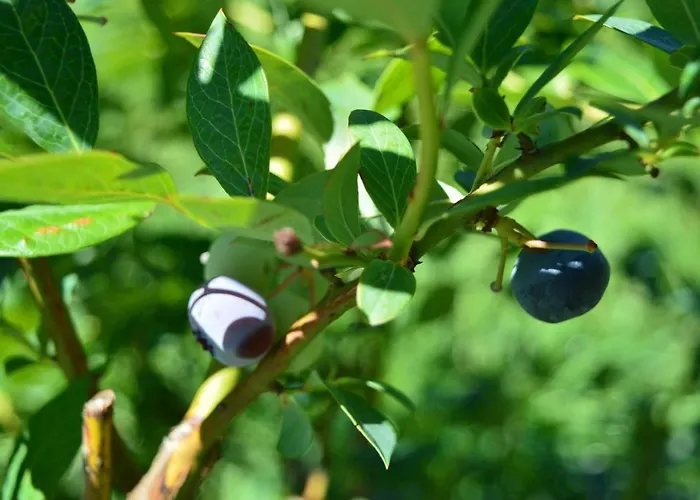 Valtili Bed & Breakfast